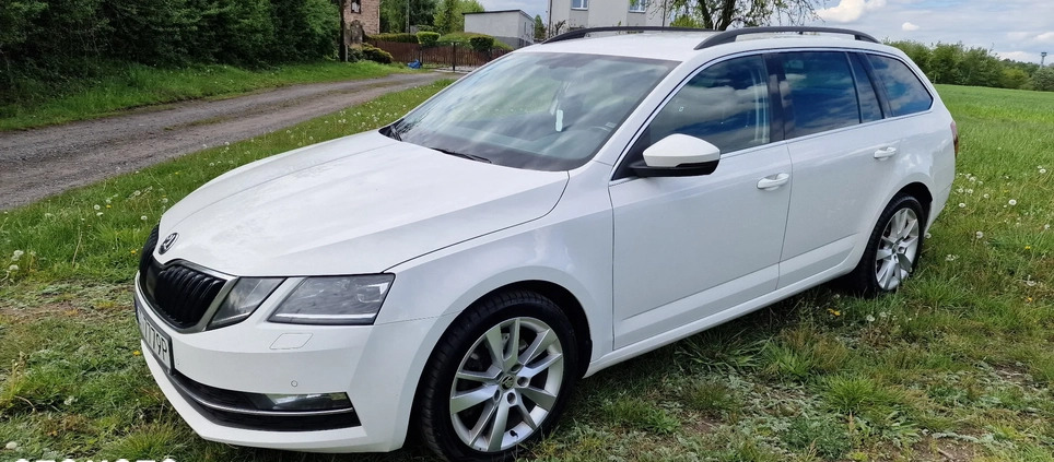 Skoda Octavia cena 90000 przebieg: 300000, rok produkcji 2019 z Mikołów małe 254